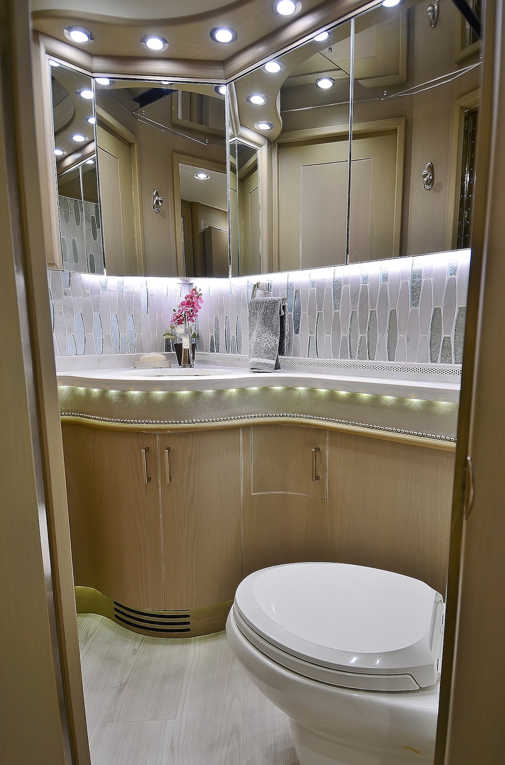2017 Prevost  Liberty H3-45 For Sale