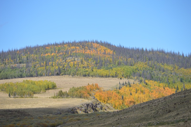 POG Rally Creede 2015