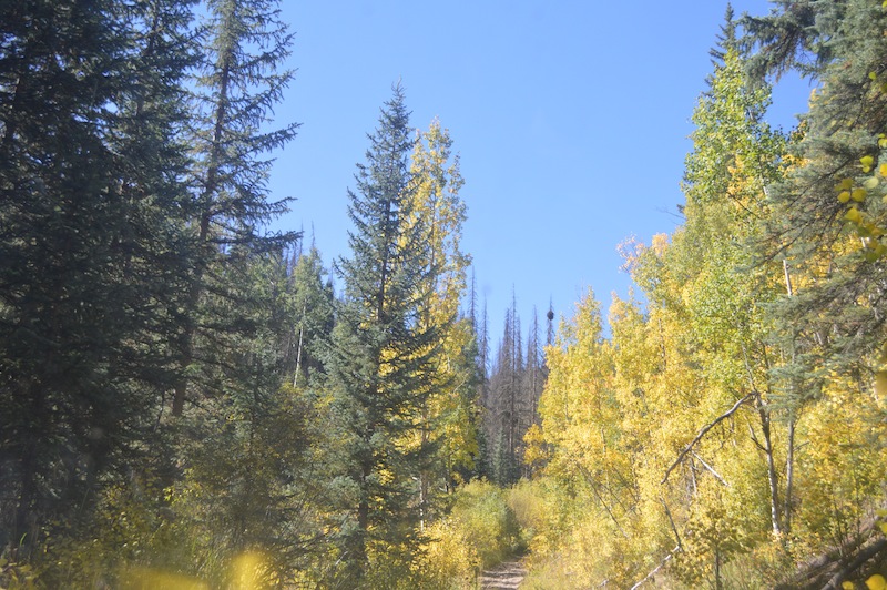 POG Rally Creede 2015