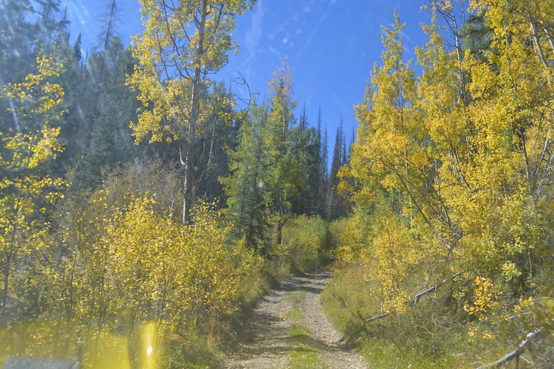 POG Rally Creede 2015