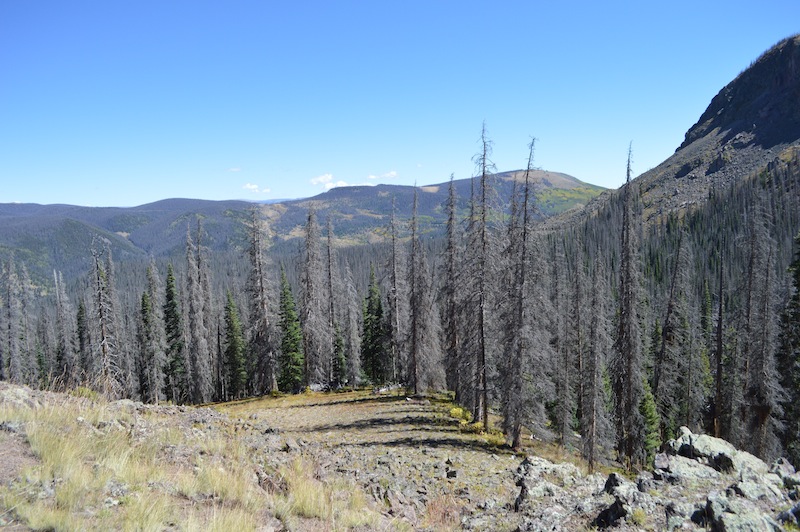 POG Rally Creede 2015