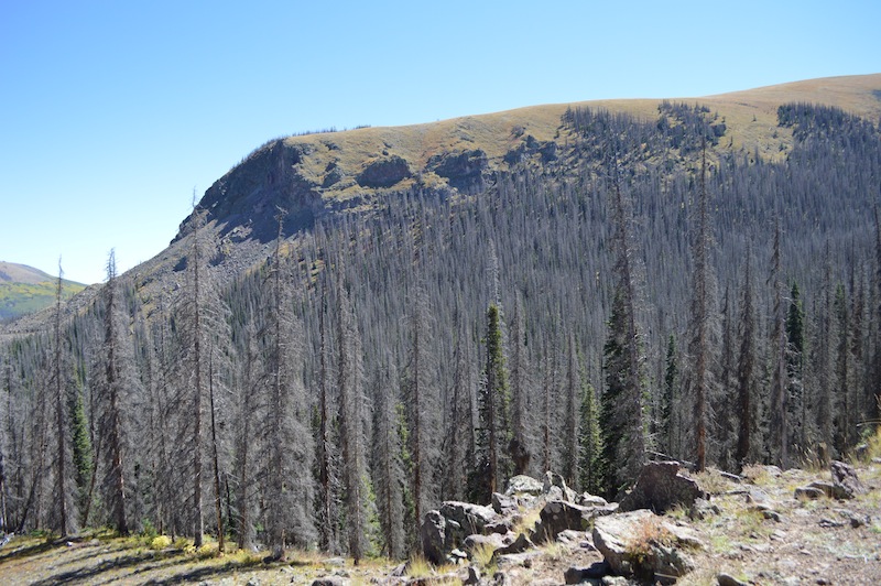 POG Rally Creede 2015