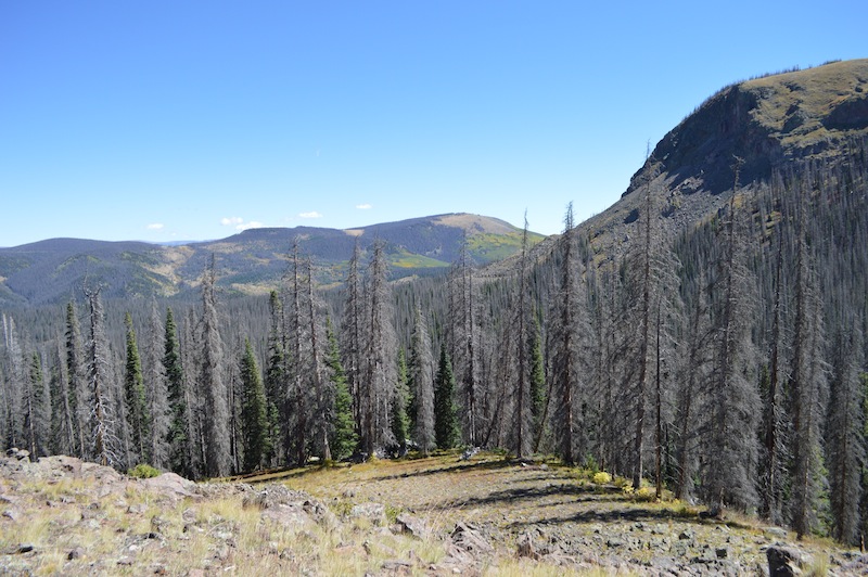 POG Rally Creede 2015