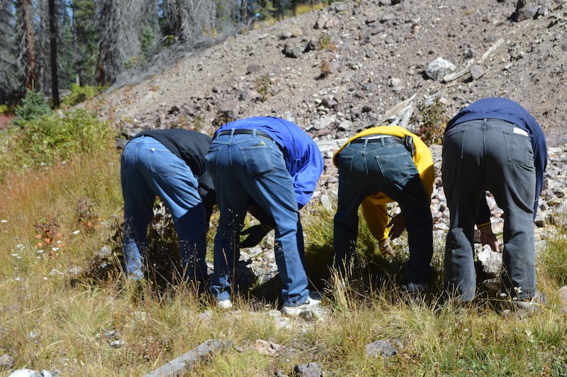 POG Rally Creede 2015