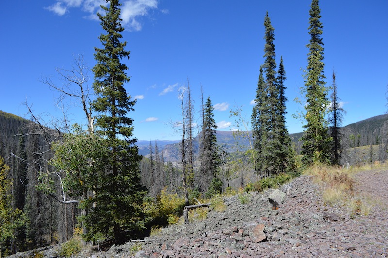 POG Rally Creede 2015