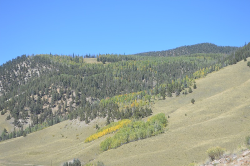 POG Rally Creede 2015