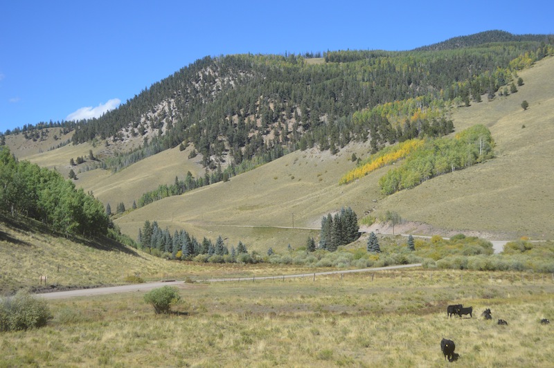 POG Rally Creede 2015