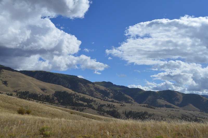 POG Rally Creede 2015