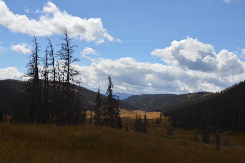 POG Rally Creede 2015