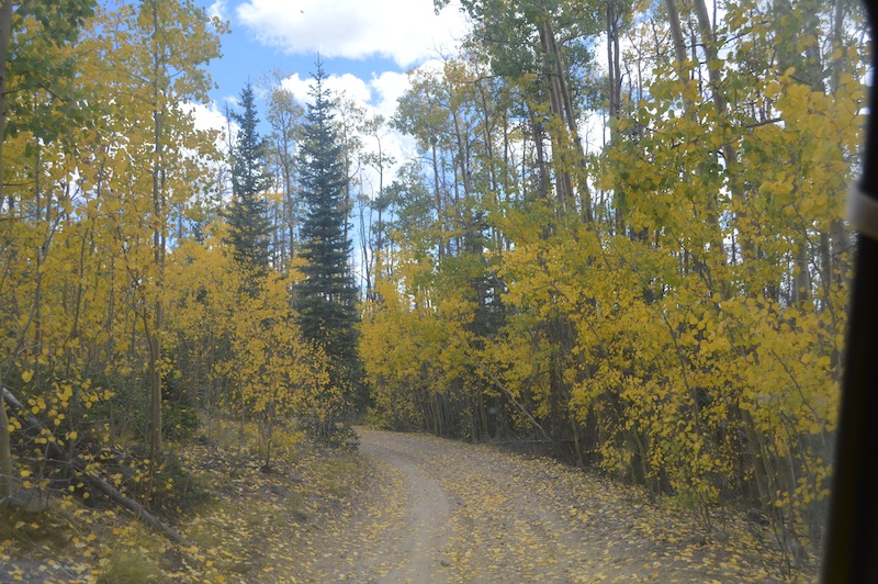 POG Rally Creede 2015