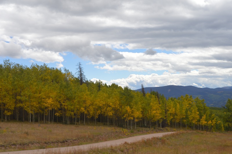 POG Rally Creede 2015