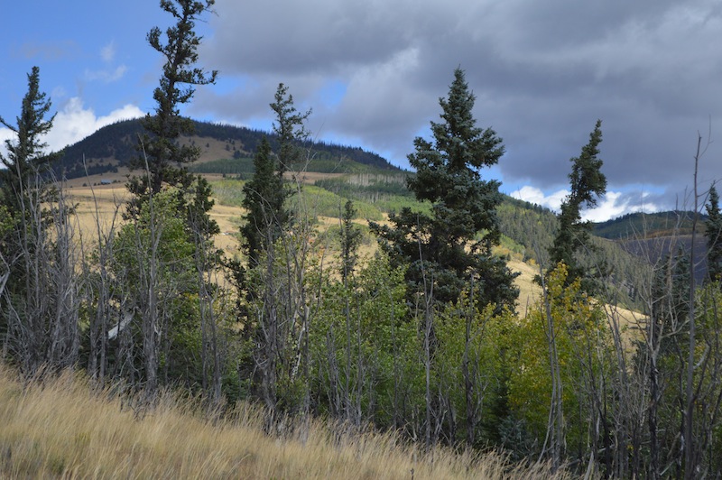 POG Rally Creede 2015