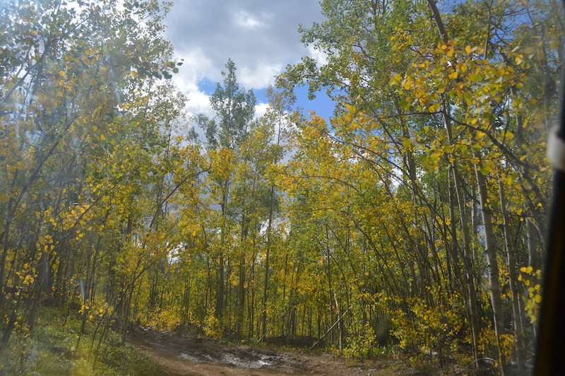 POG Rally Creede 2015