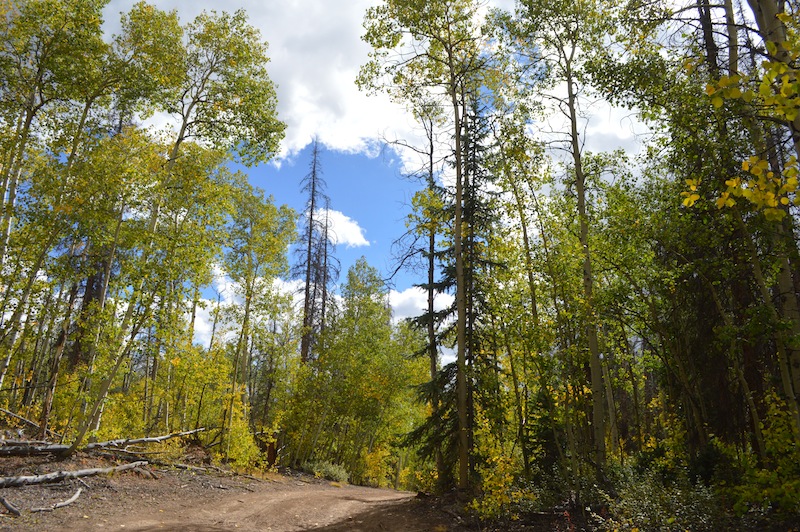 POG Rally Creede 2015