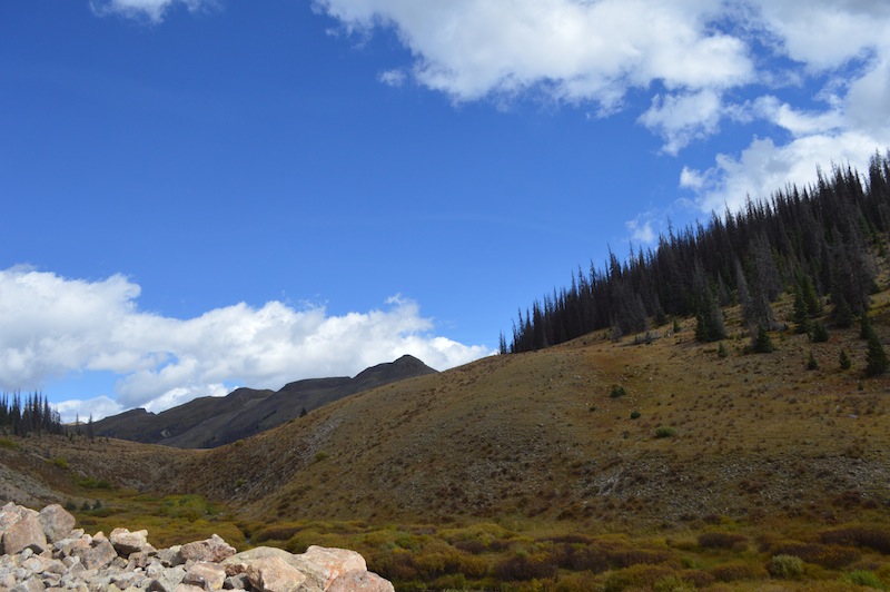 POG Rally Creede 2015