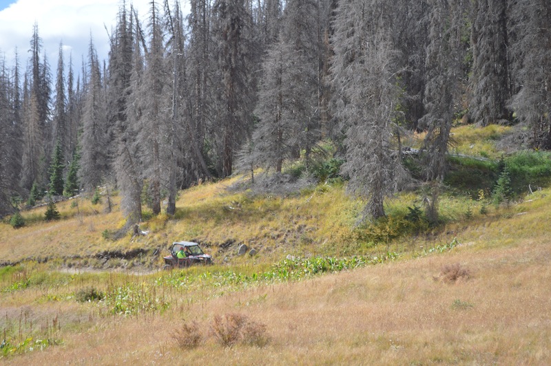 POG Rally Creede 2015