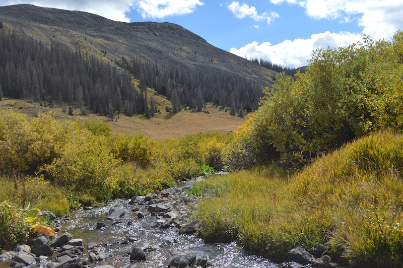 POG Rally Creede 2015