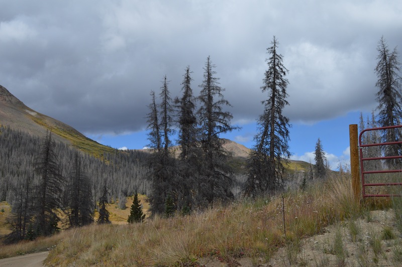 POG Rally Creede 2015