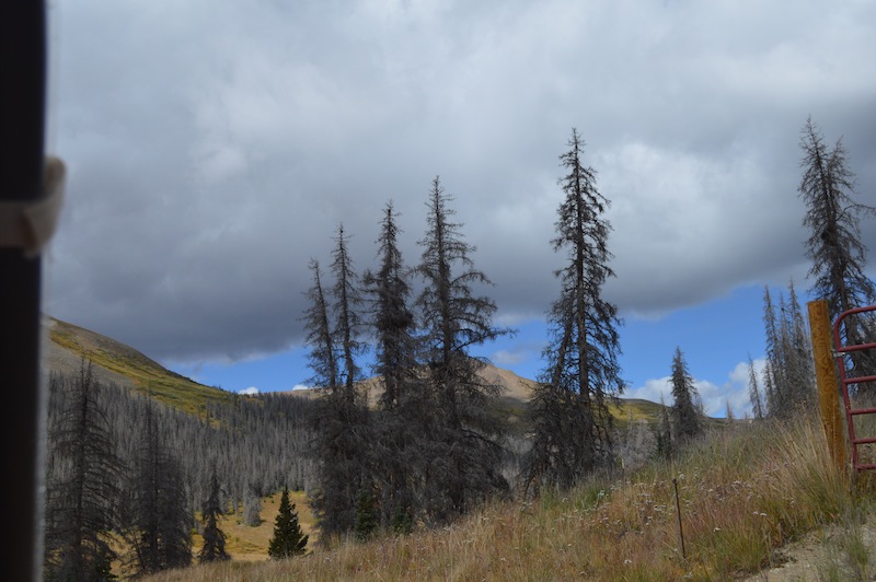 POG Rally Creede 2015