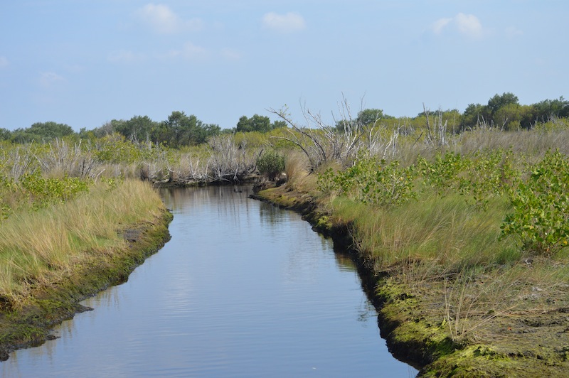 POG Everglades March 2015