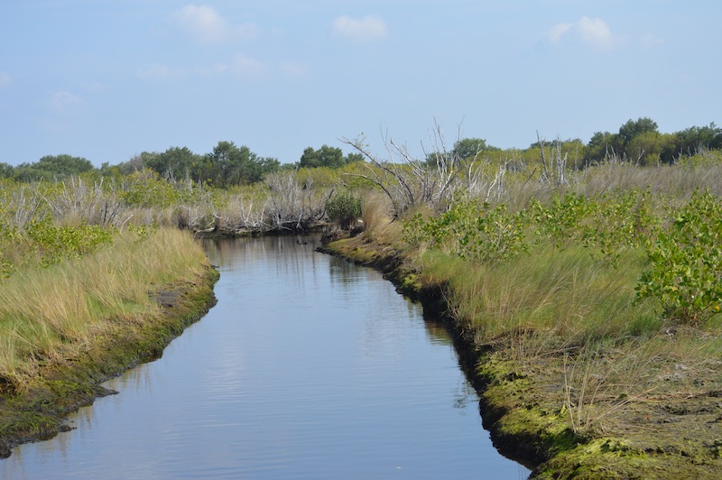 POG Everglades March 2015