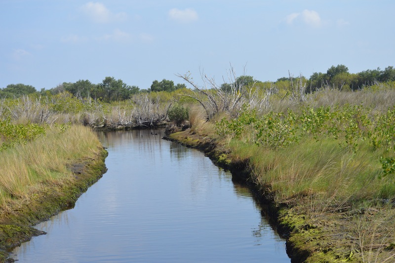 POG Everglades March 2015