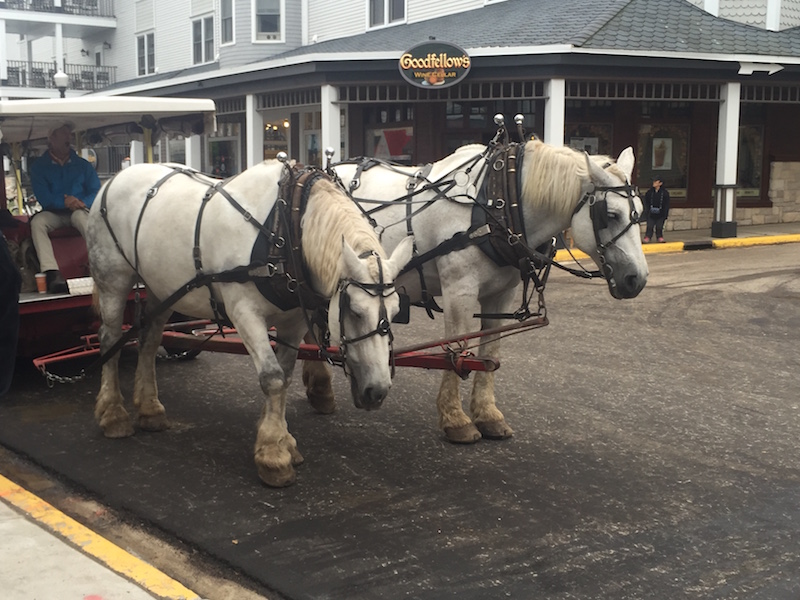 Prevost Petoskey Rally