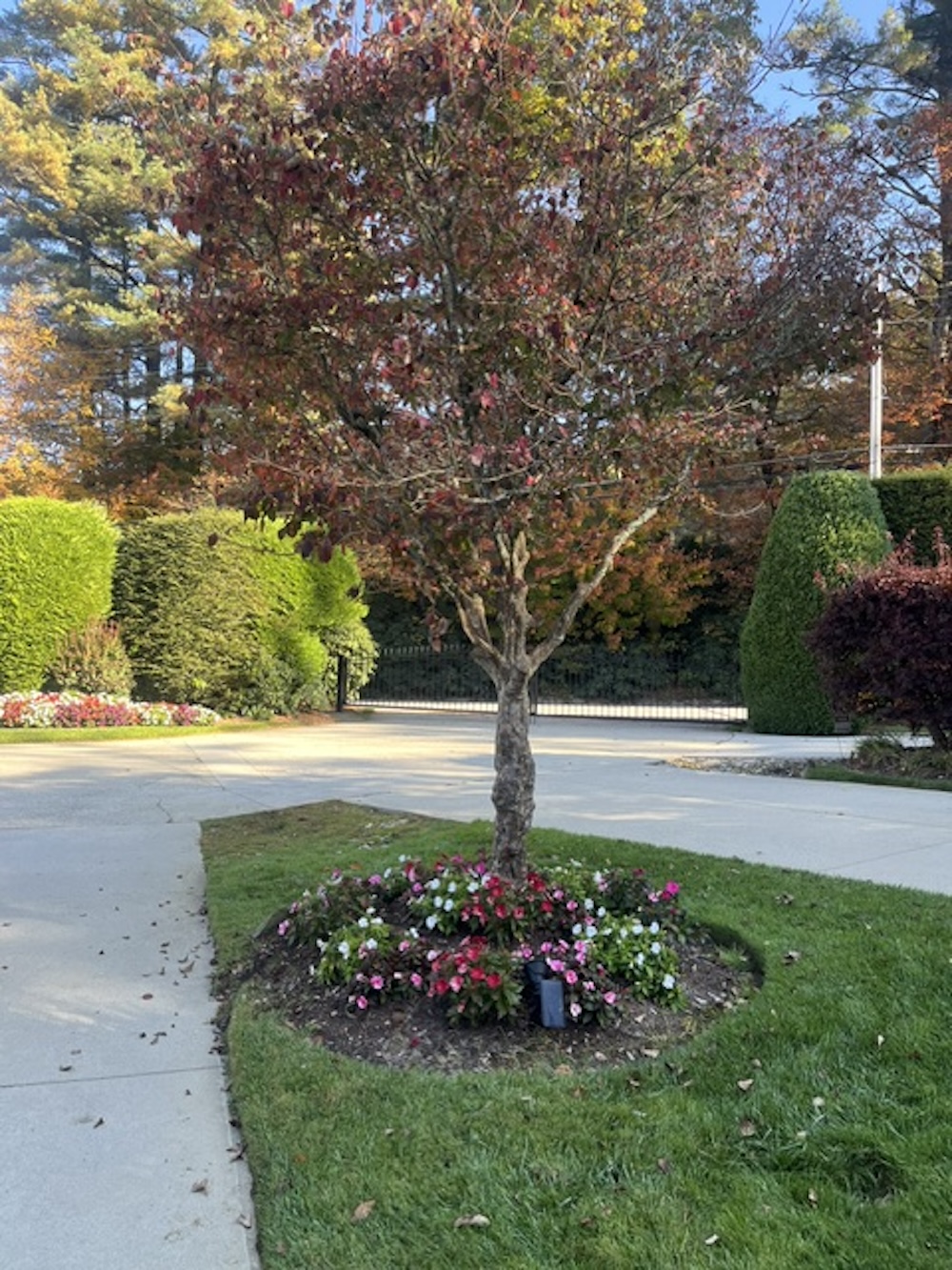 Prevost Real Estate For Sale