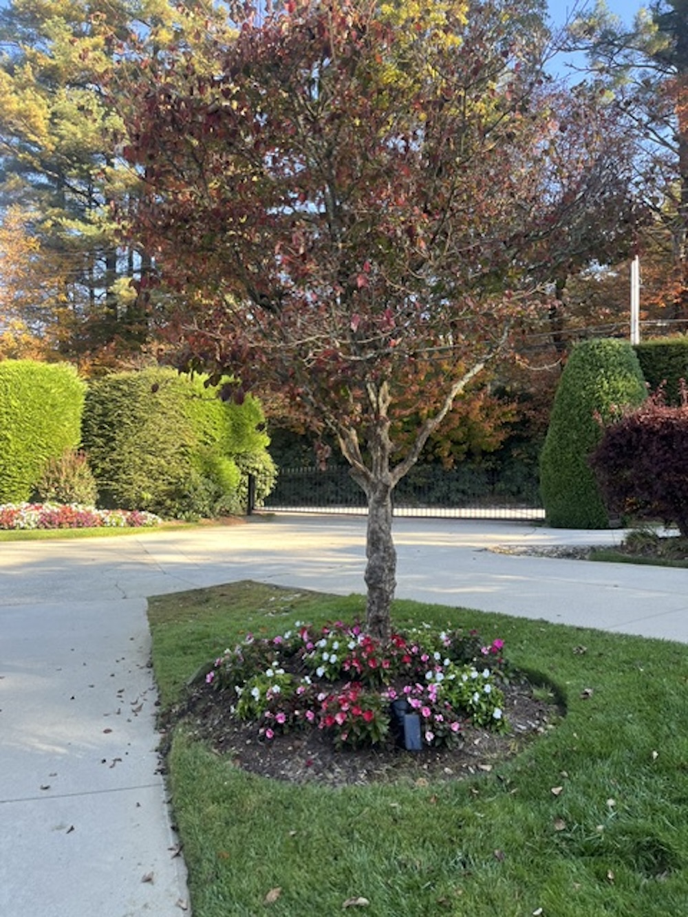 Prevost Real Estate For Sale