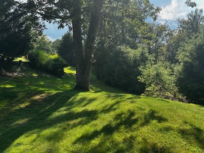  Prevost Real Estate For Sale