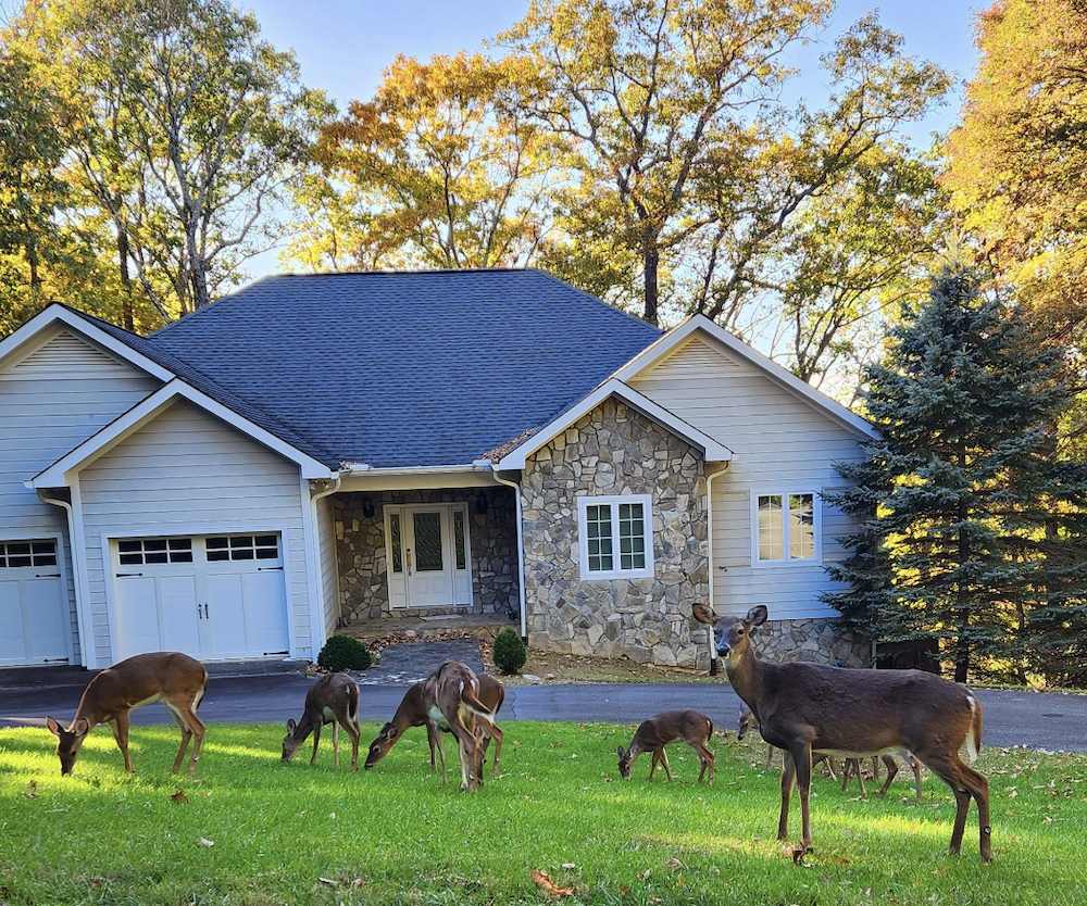  Prevost Real Estate For Sale