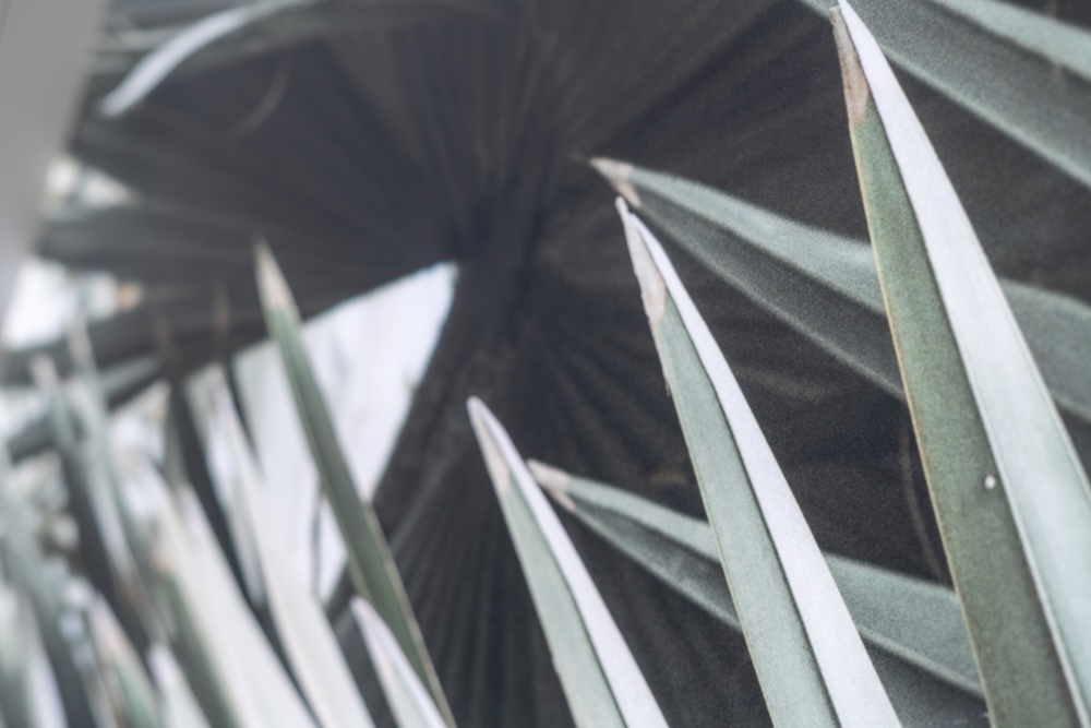 2026 Prevost Marathon H3-45 For Sale